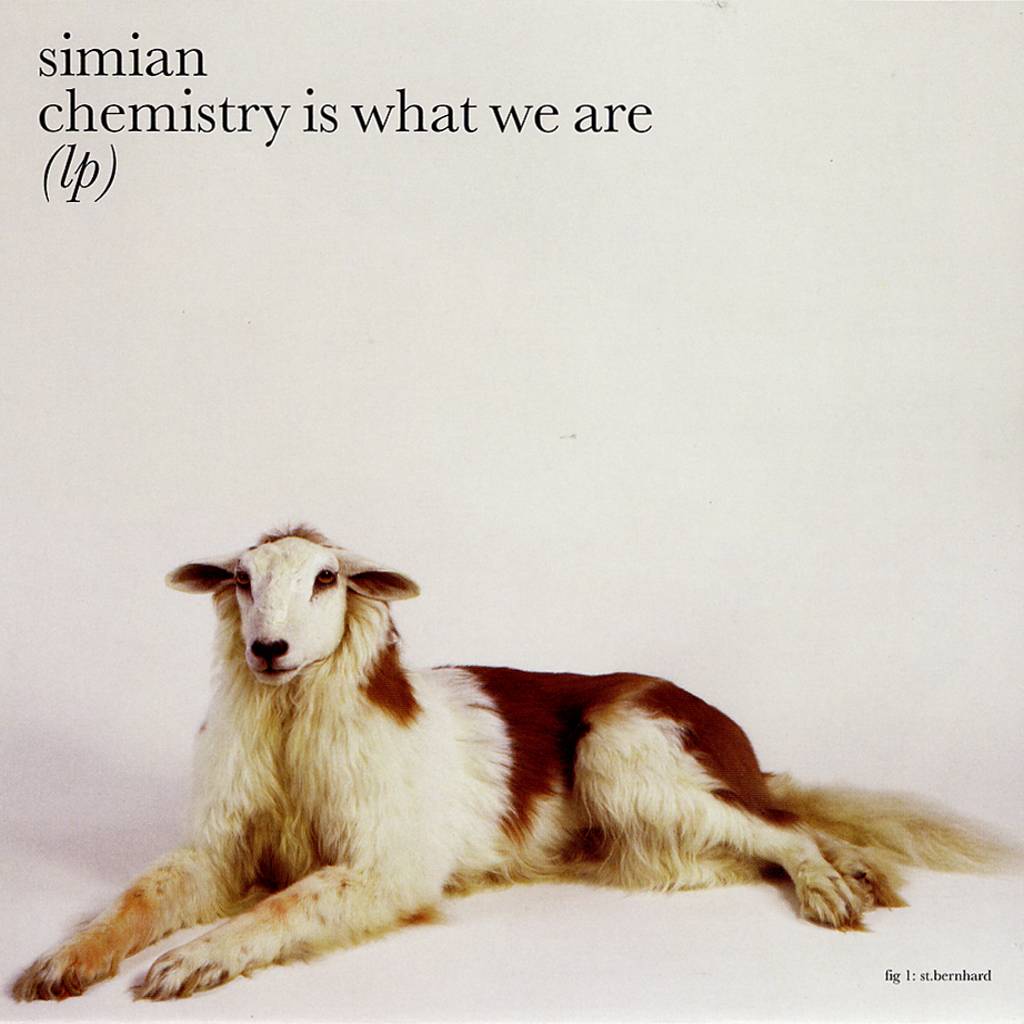 Simian-Chemistry_Is_What_We_Are-Frontal
