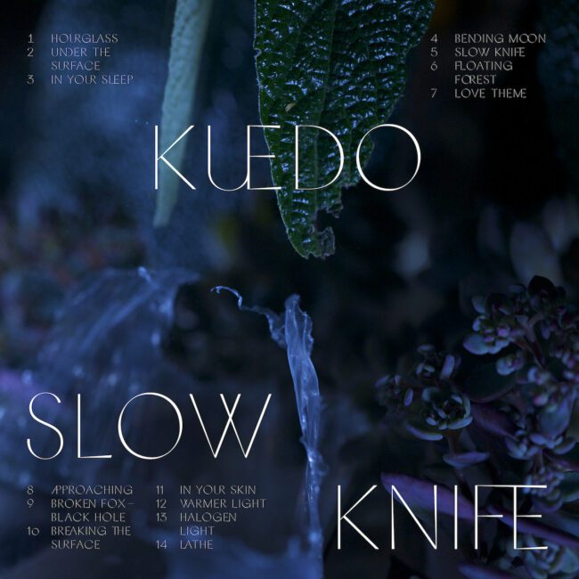 kuedo_slowknife