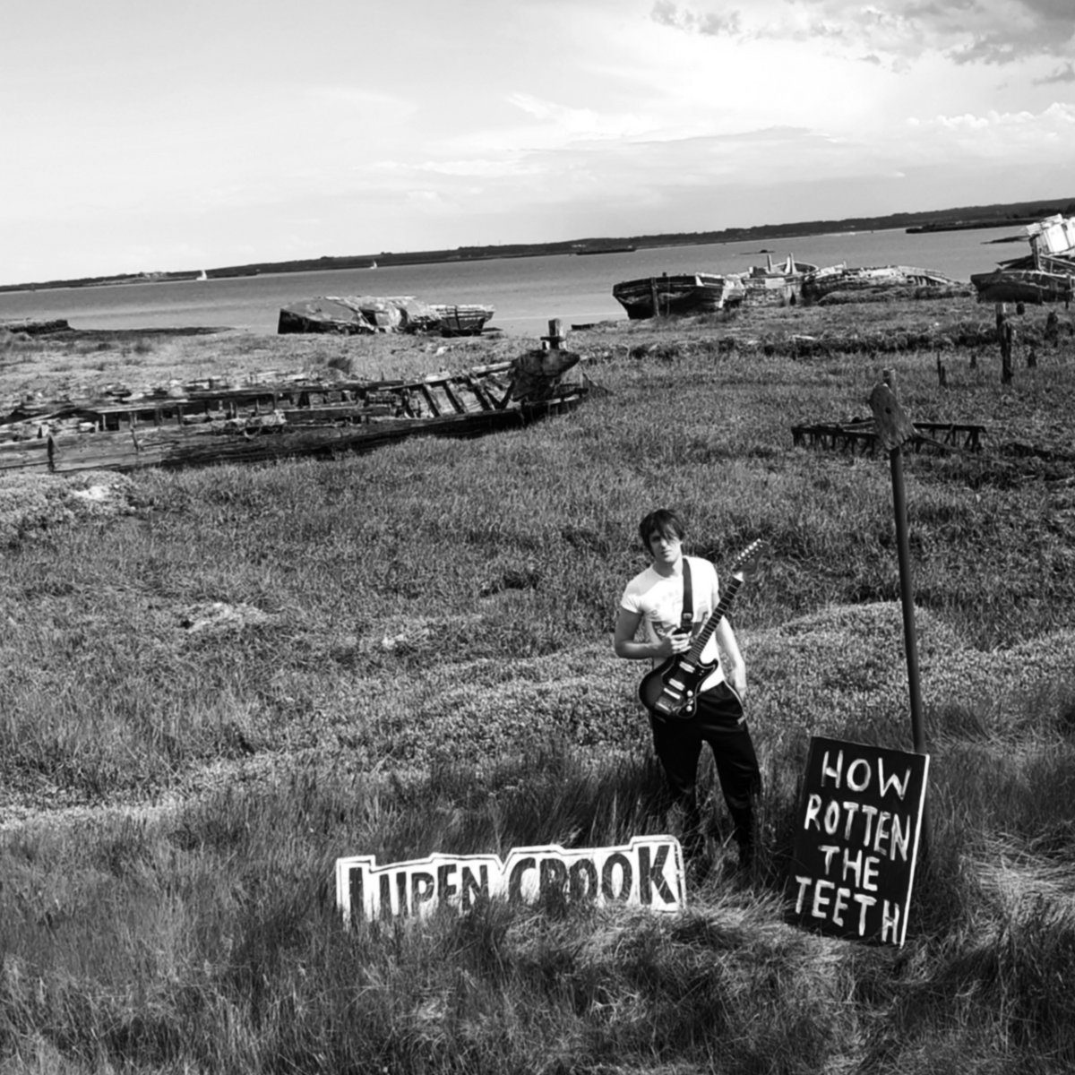 lupencrook_howrotten