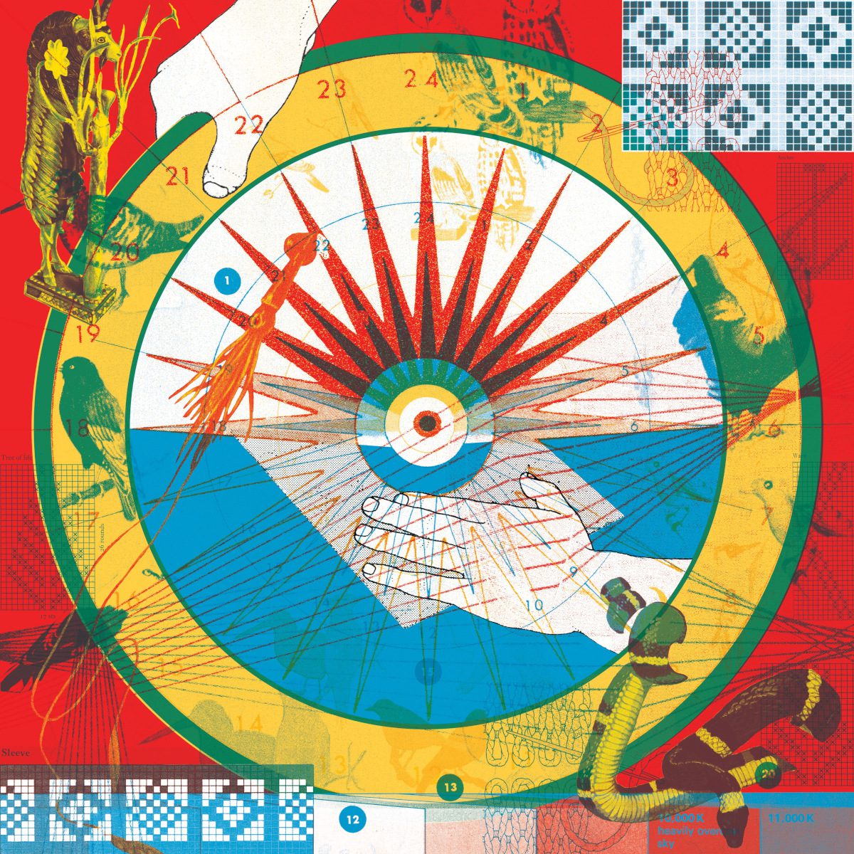 PLANTS AND ANIMALS : Jungle Plants-And-Animals_The-Jungle_Digital-Cover_Hi-Res-1