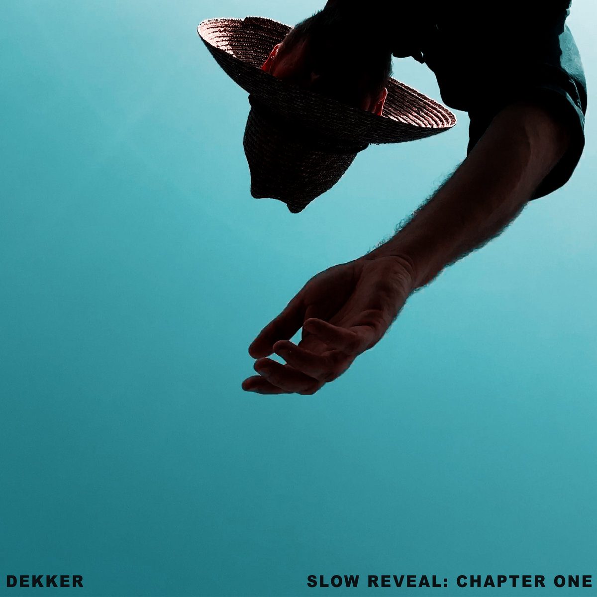 DEKKER : Slow reveal : chapter one dekker_slowreveal1-2