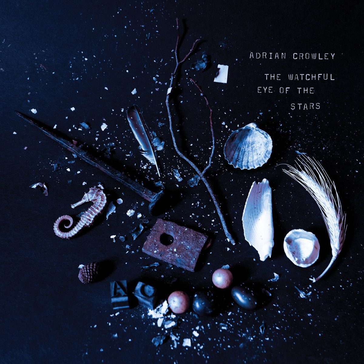 adriancrowley_watchful