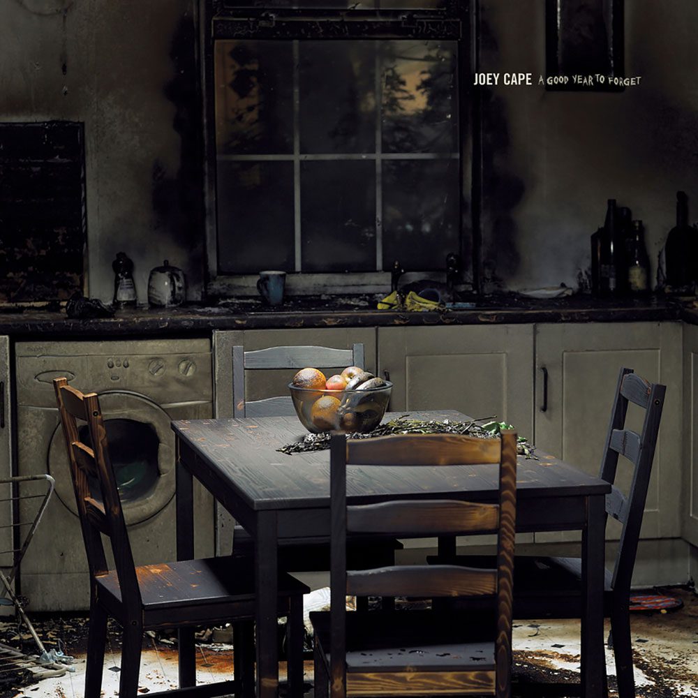 joey-cape-a-good-year-to-forget-punk-rock-theory