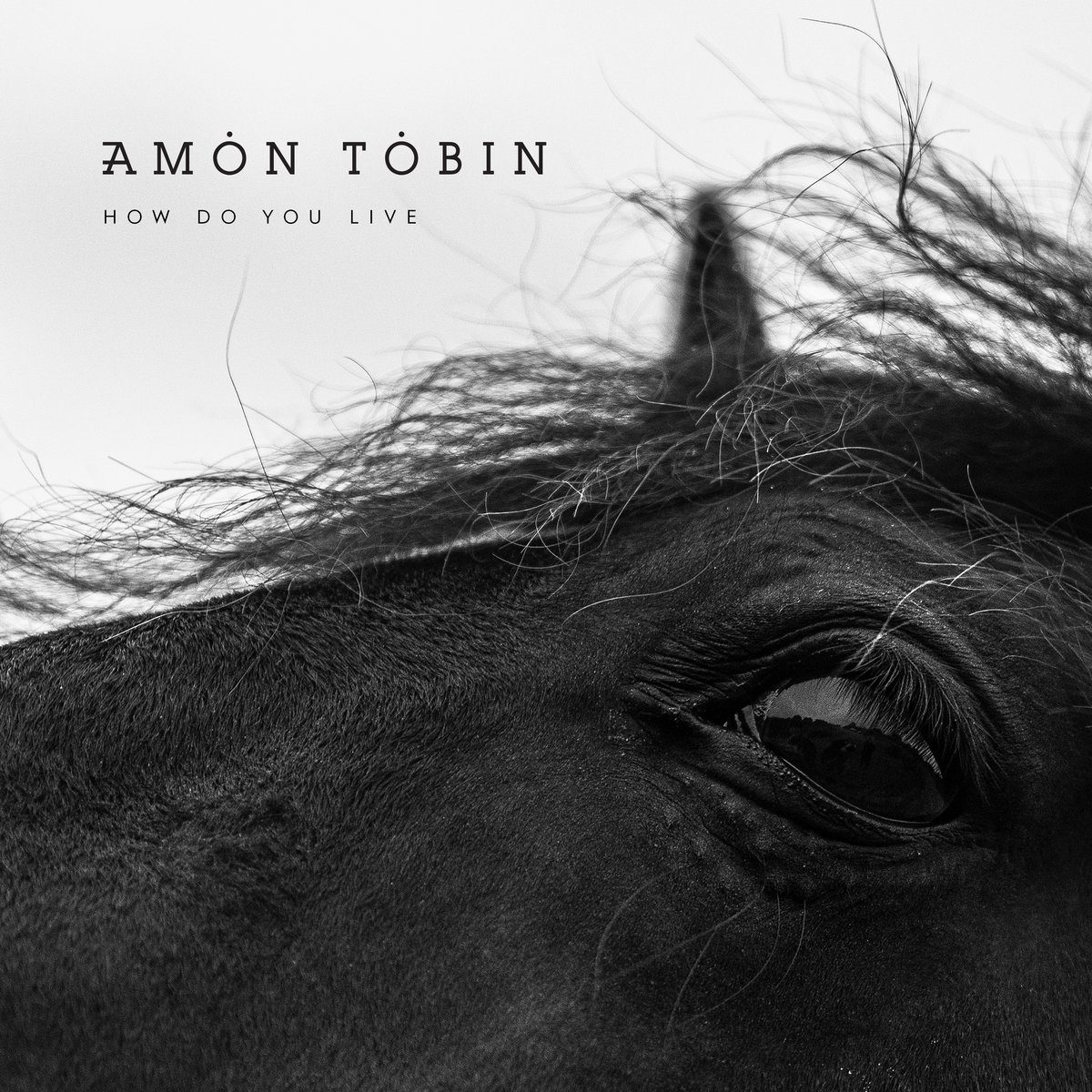 amontobin_howdoyoulive