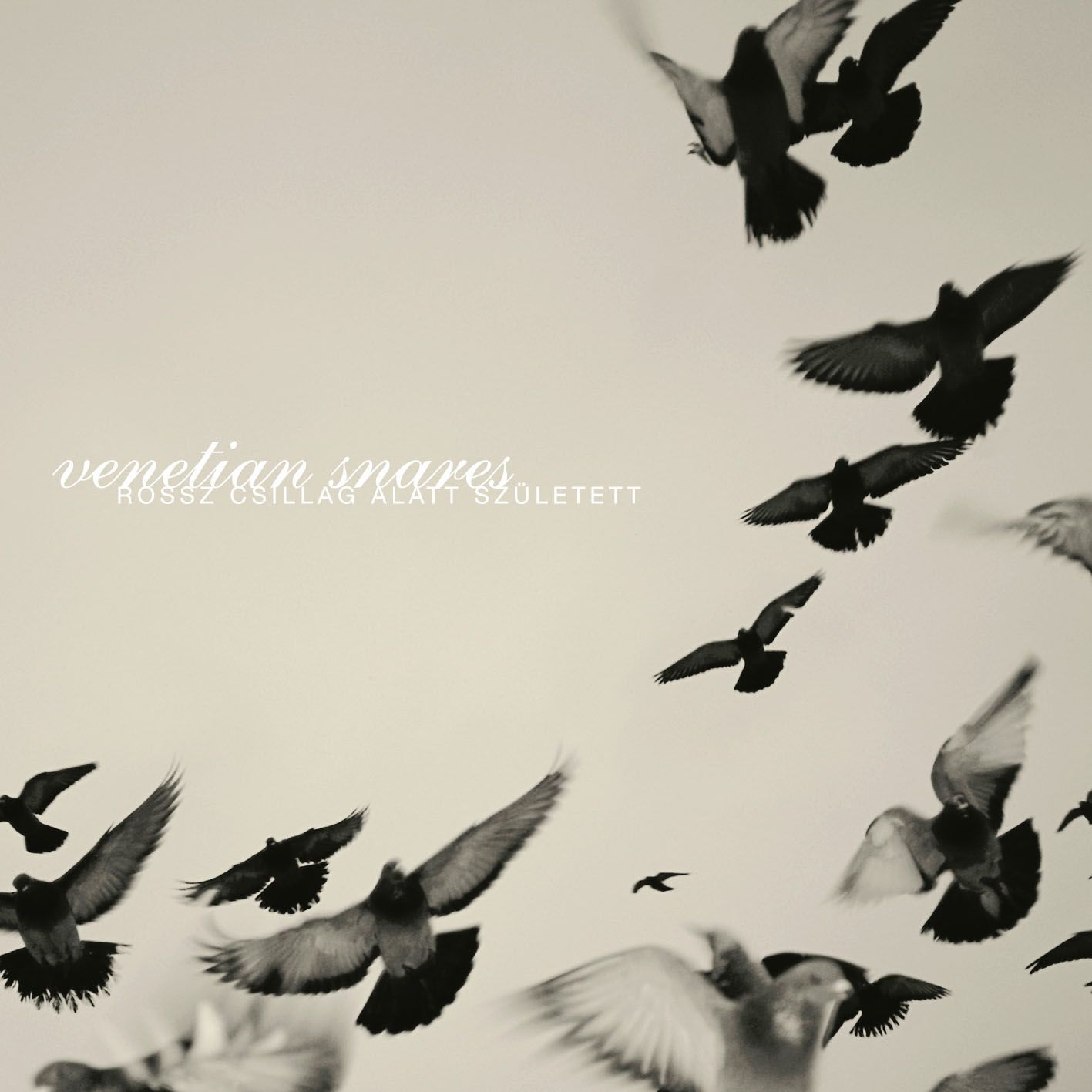 VENETIAN SNARES : Rossz Csillag Alatt Született Rossz_Csillag_Alatt_Szuletett