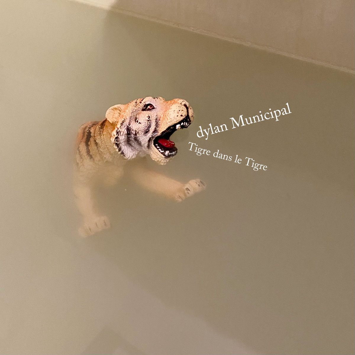 dylanmunicipal_tigre