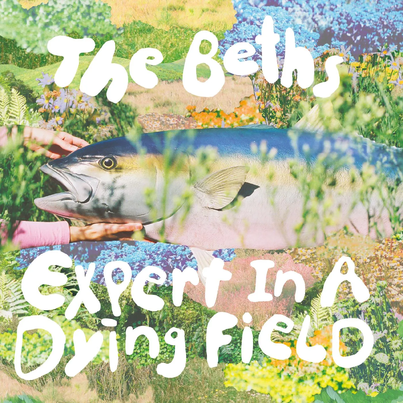THE BETHS : Expert in a dying field The-Beths-Expert-in-a-Dying-Field