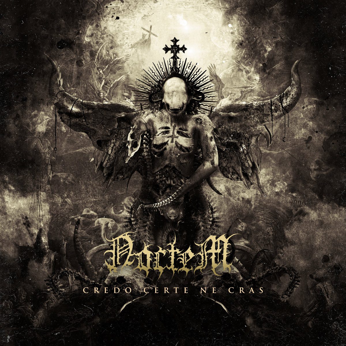 NOCTEM : Credo certe ne cras noctem_credocertenecras