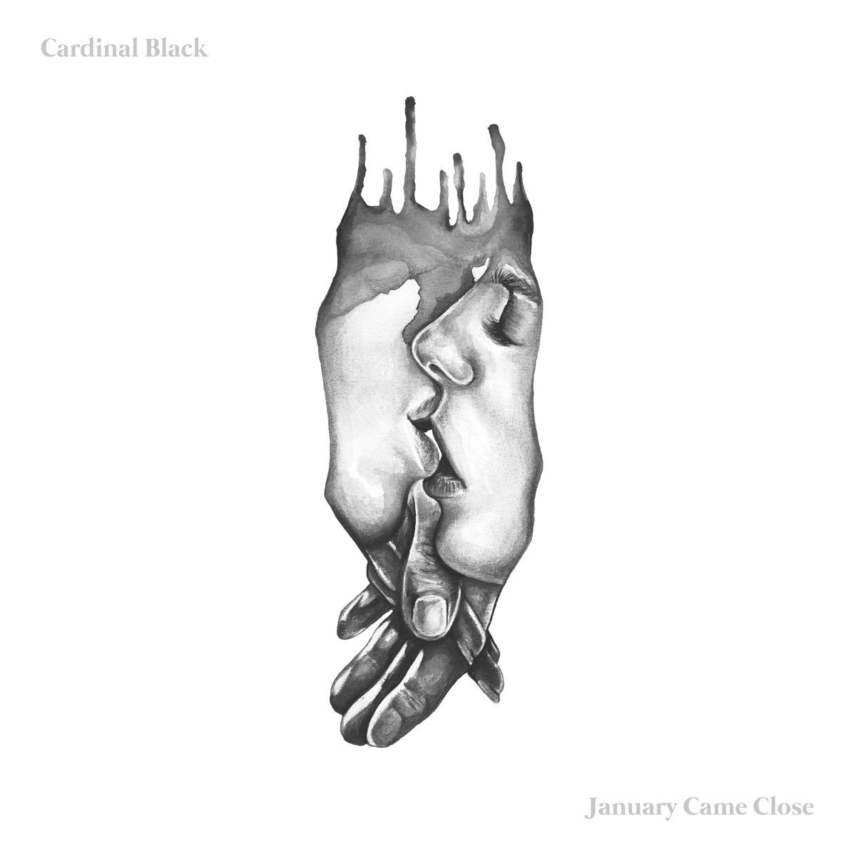 cardinal-black-january-come-close