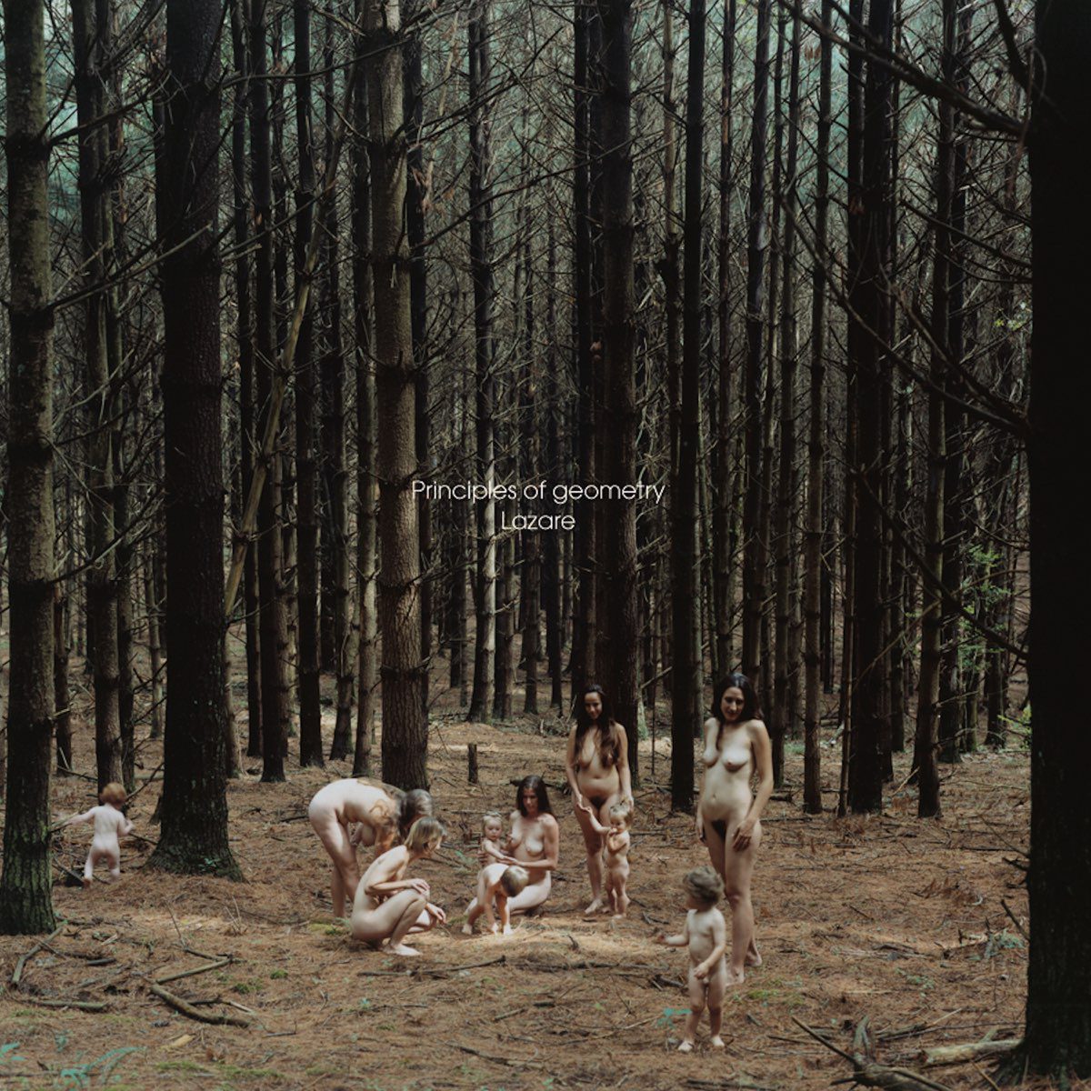 principlesofgeometry_lazare