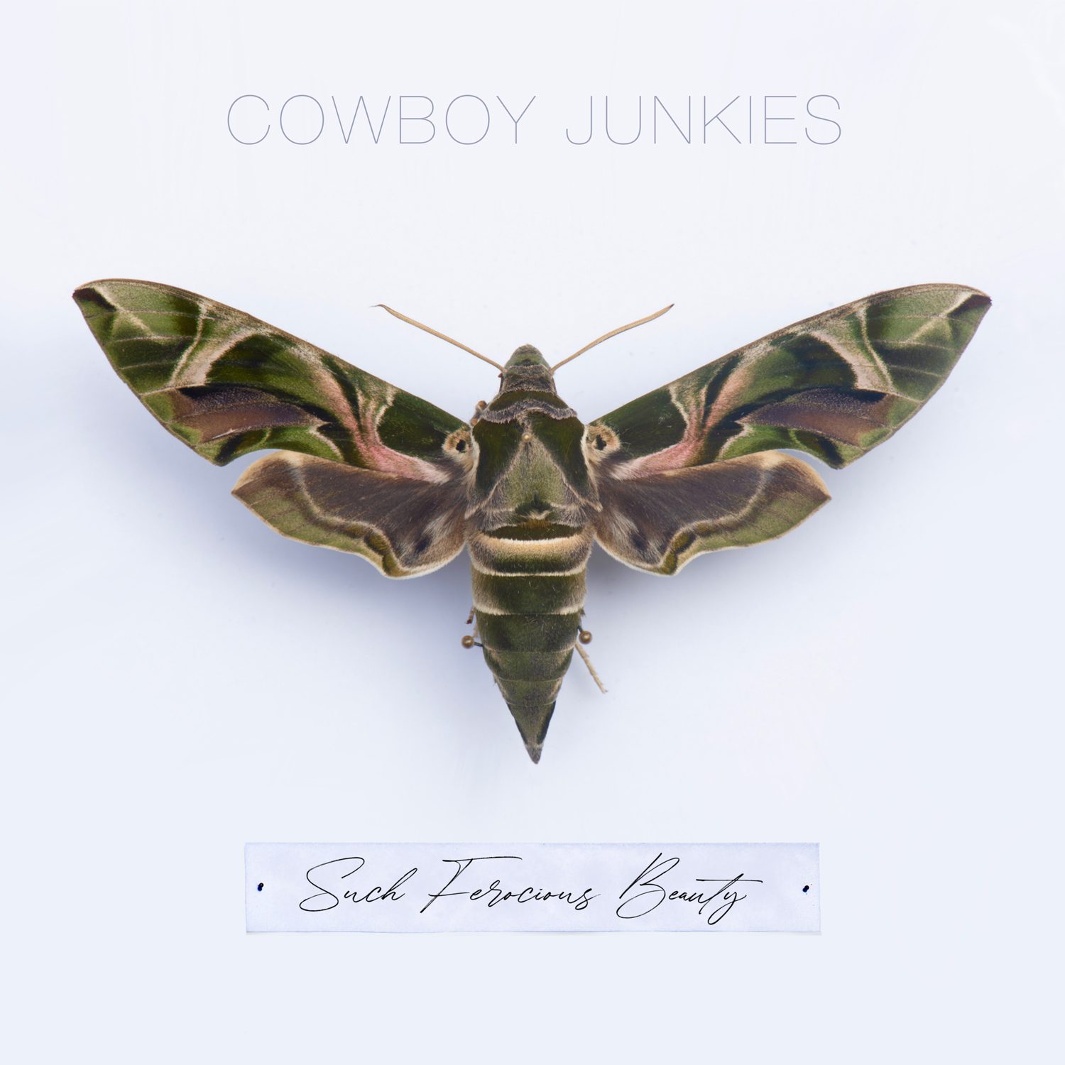 CowboyJunkies-SFB-Cover-1500x1500-1