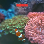 PAERISH : You're in both dreams (and you're scared)