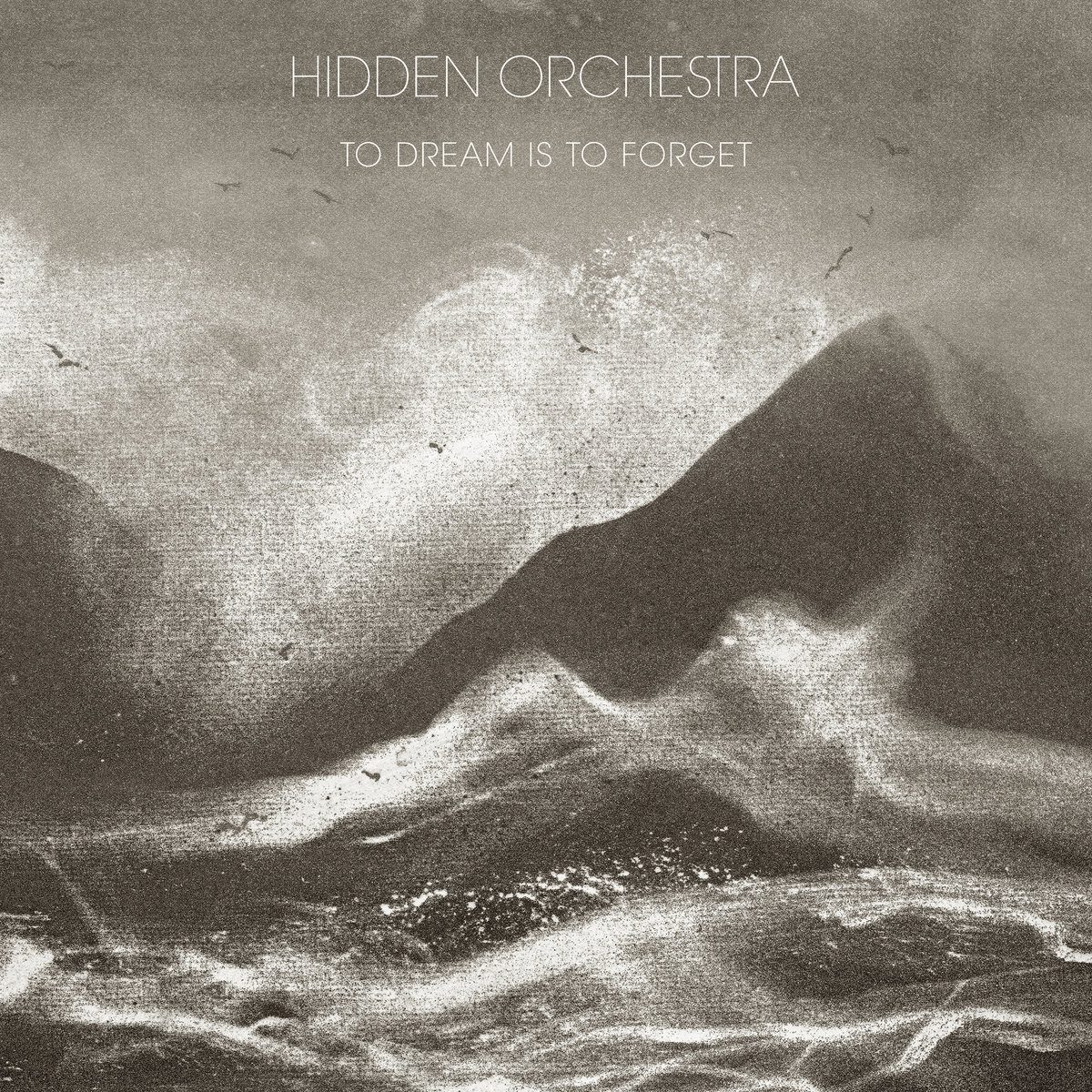 hiddenorchestra_todream