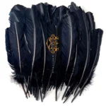 DAVID EUGENE EDWARDS : Hyacinth DAVID EUGENE EDWARDS : Hyacinth