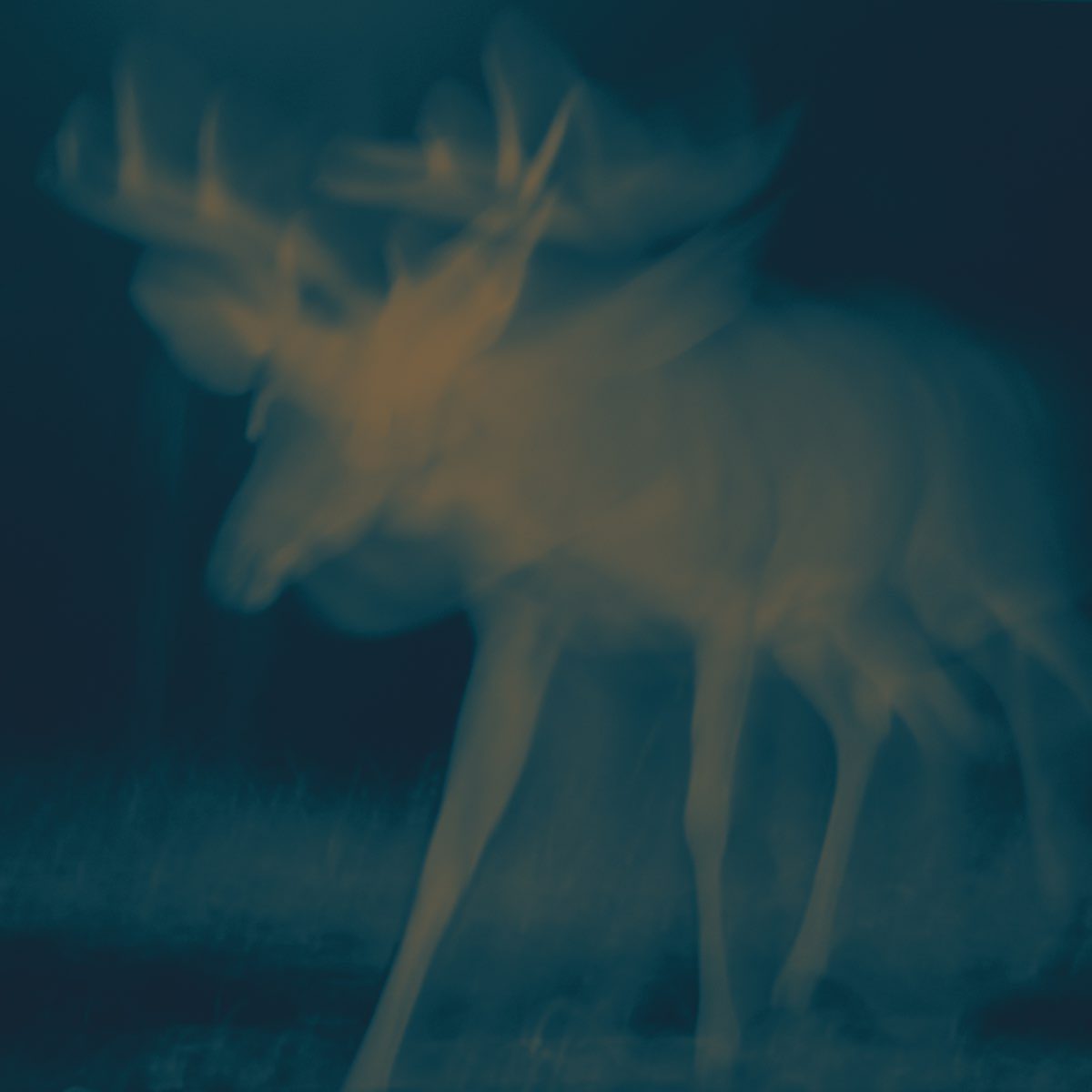 lauramasotto_thespirit