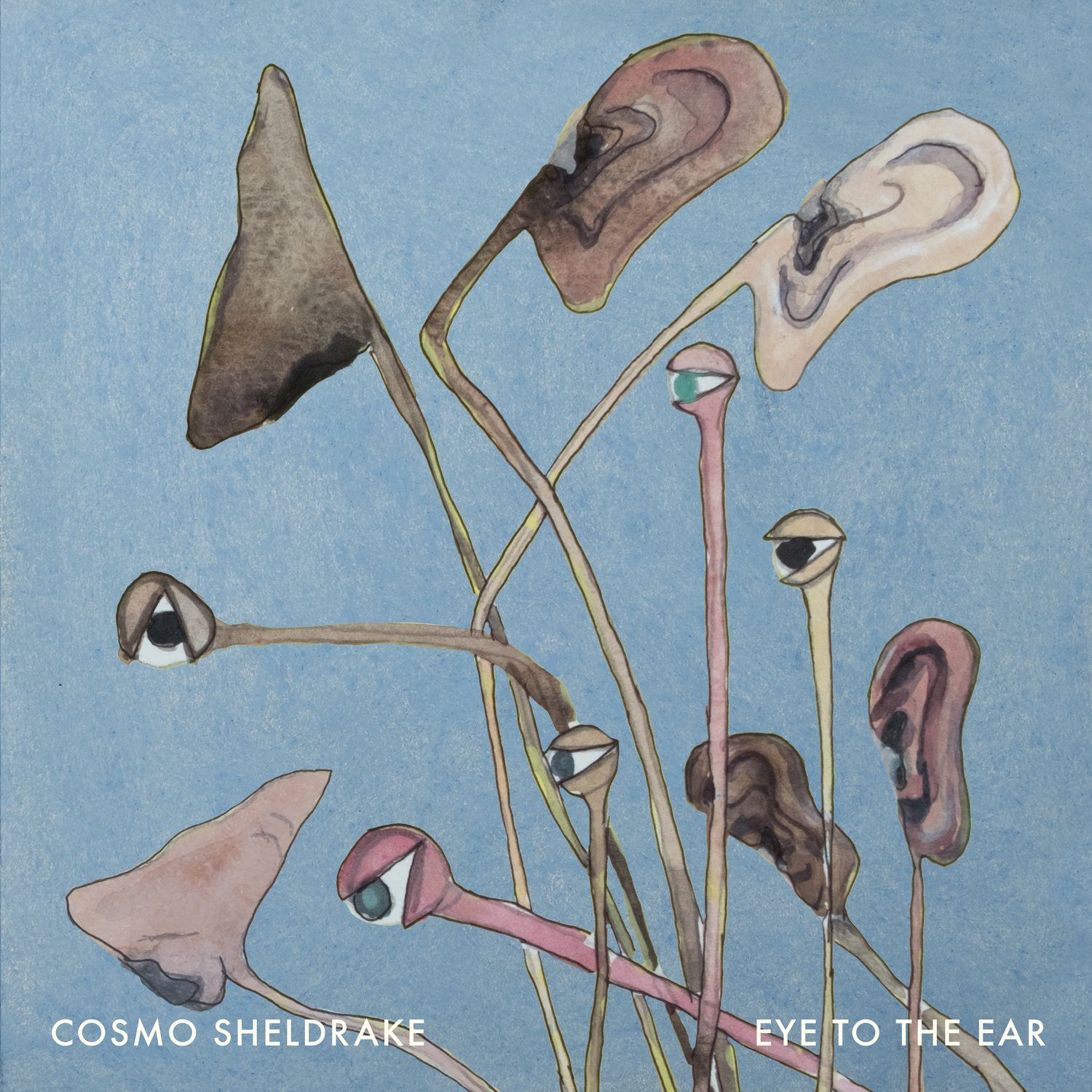 CosmoSheldrake_ETTE_Front_3000px