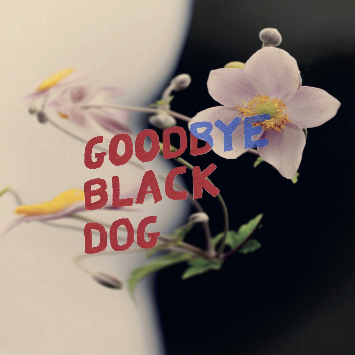 purrs_goodbyeblackdog