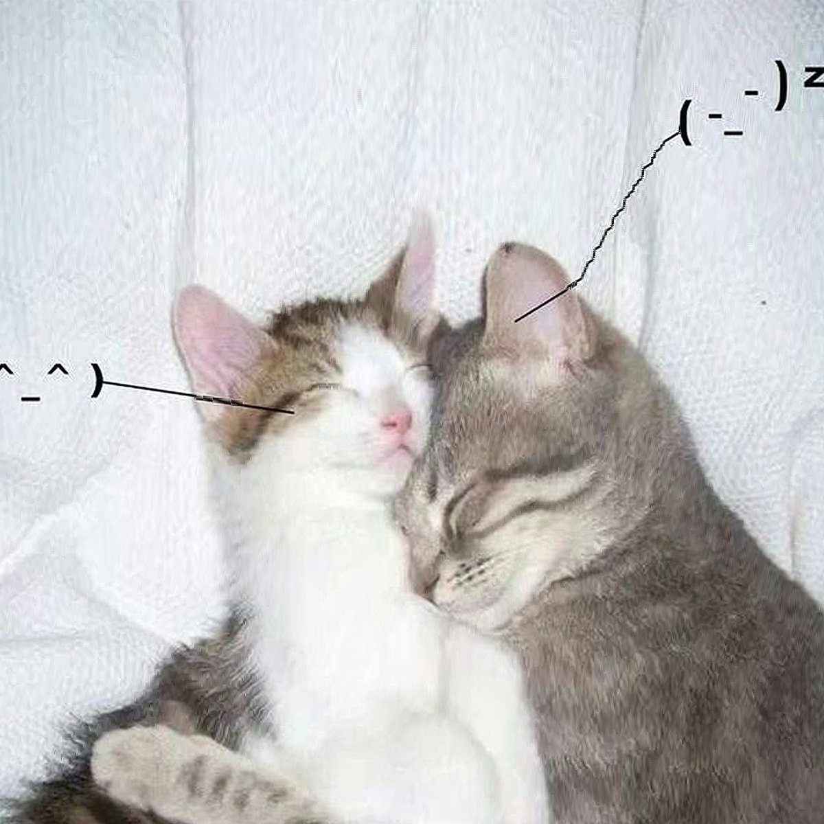 RETAIL DRUGS : I love you so ! retail drugs i love