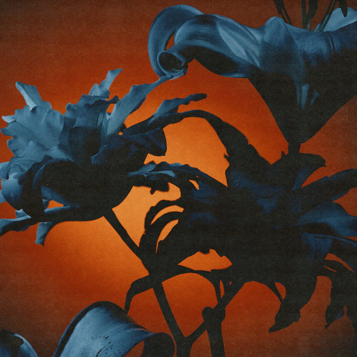 TIDESFROMNEBULA_instant rewards