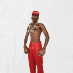 tyler the creator dont tap the glass