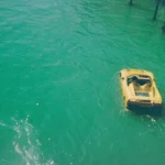 DZ DEATHRAYS : Easing Out of Control DZ DEATHRAYS Easing Out of Control