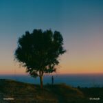 IT’S MURPH Weightless